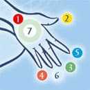 Les chakras et le corps subtil